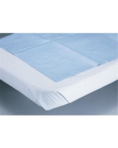 Case of Medline Tissue Drape Sheets White Not Applicable NON24339B