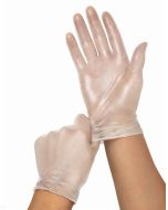 Case of Clear-Touch Vinyl Multi-Purpose Gloves | Medium