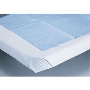 Case of Medline Tissue Drape Sheets White Not Applicable NON24339B