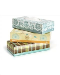 Case of Designer Boxed Vinyl Exam Gloves | Clear | Small